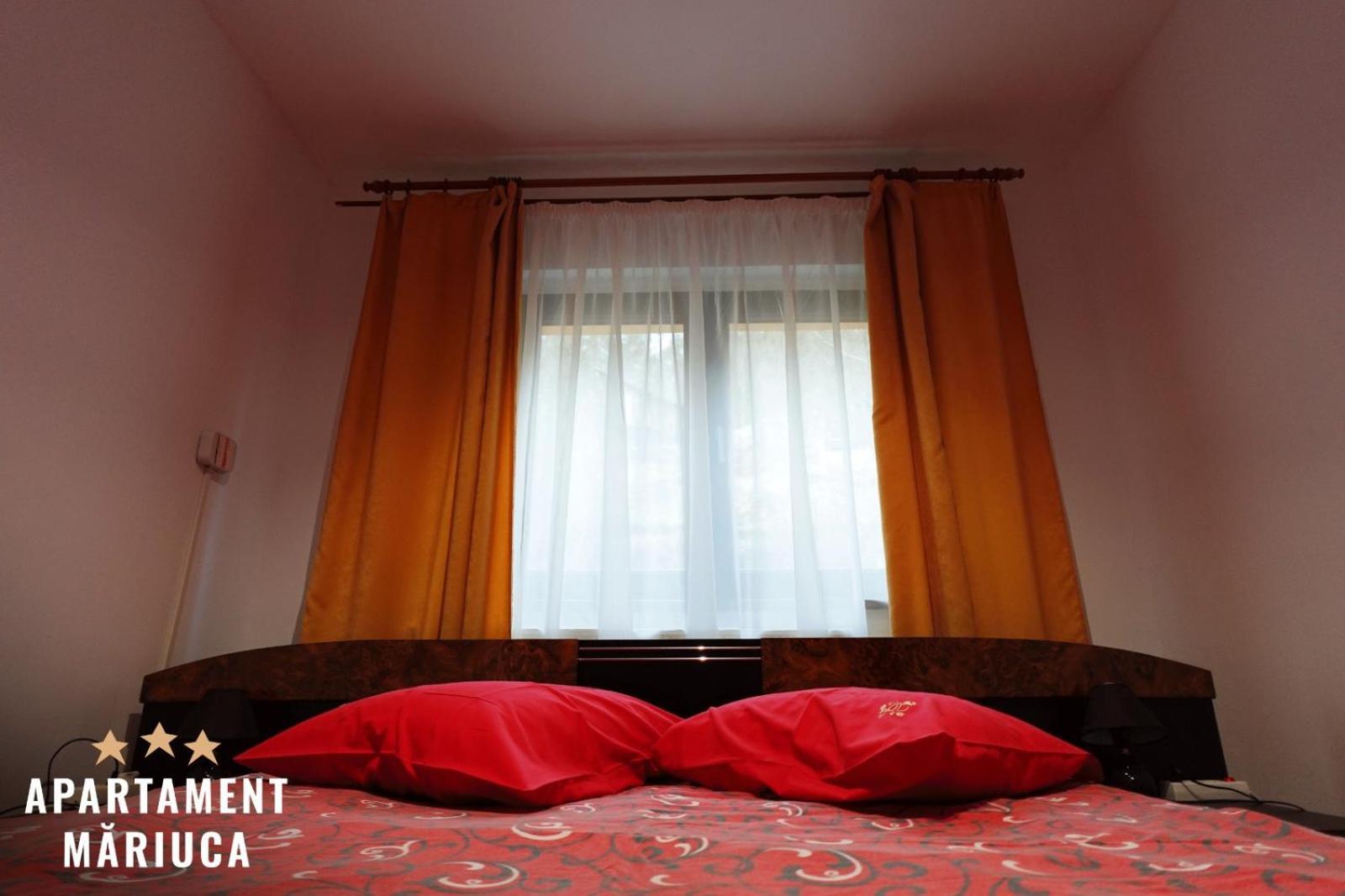 Mariuca Apartament Busteni Ngoại thất bức ảnh